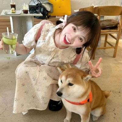 最美的乡村